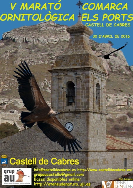 V Marat Ornitolgica Els Ports Castell de Cabres